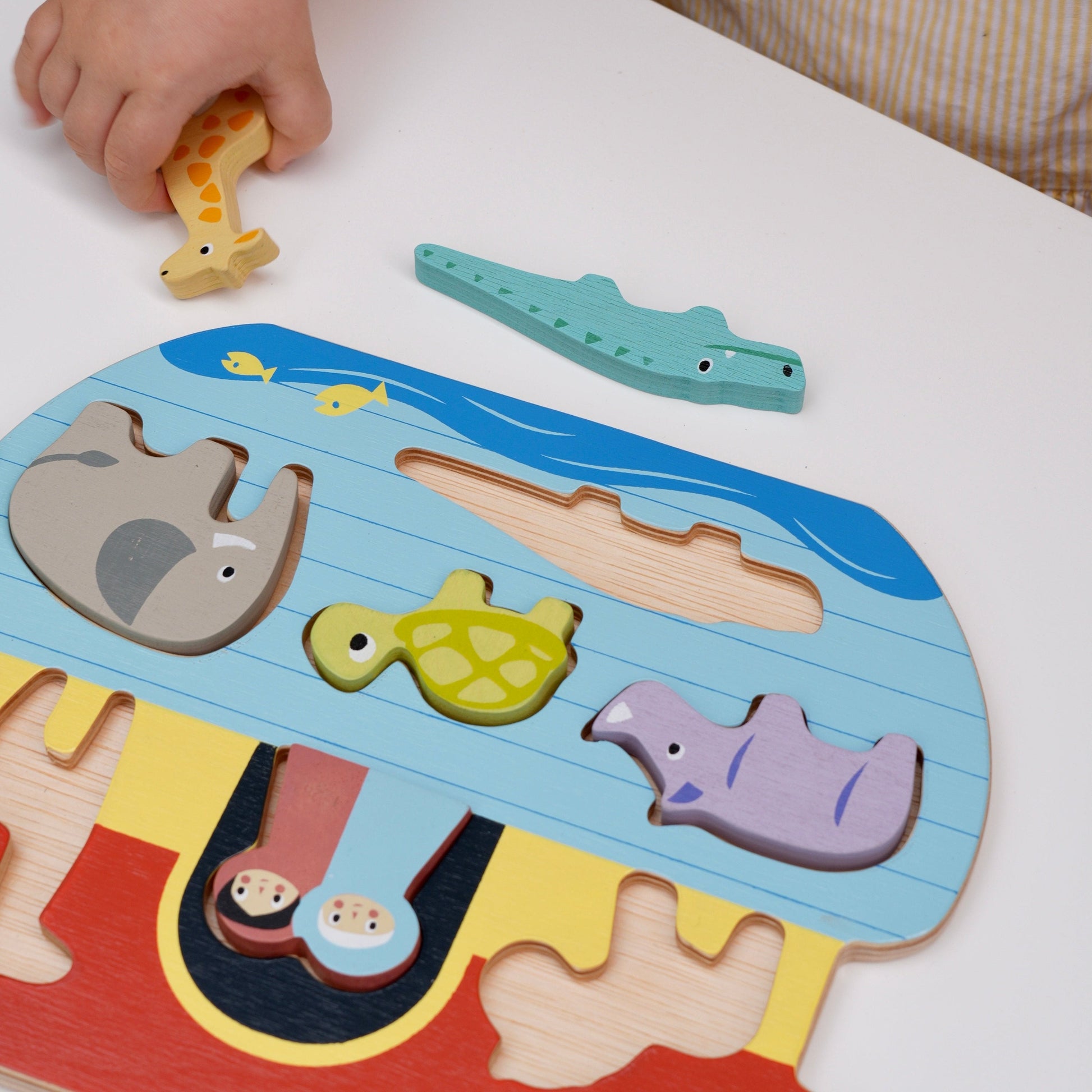 Shape Sorting Ark Tray - REGN