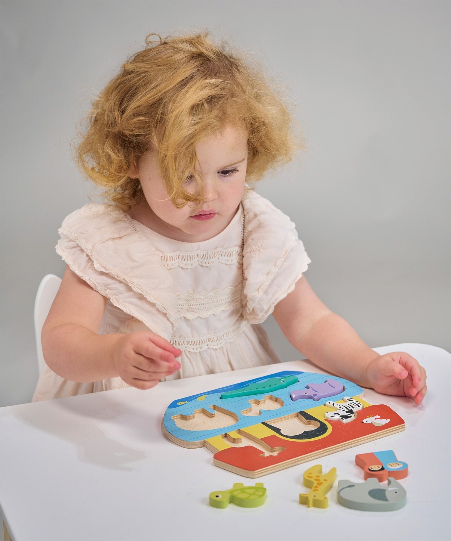Shape Sorting Ark Tray - REGN