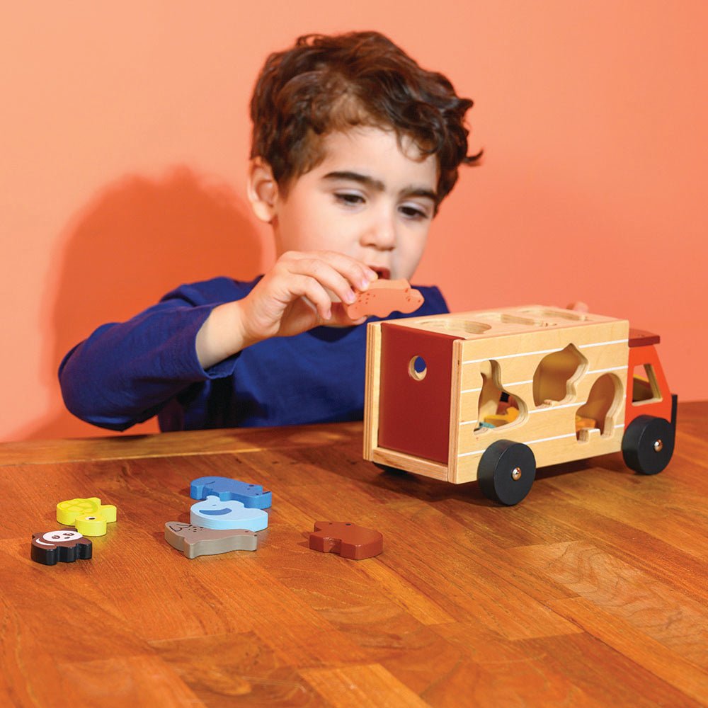 Shape Sorting Safari Truck - REGN