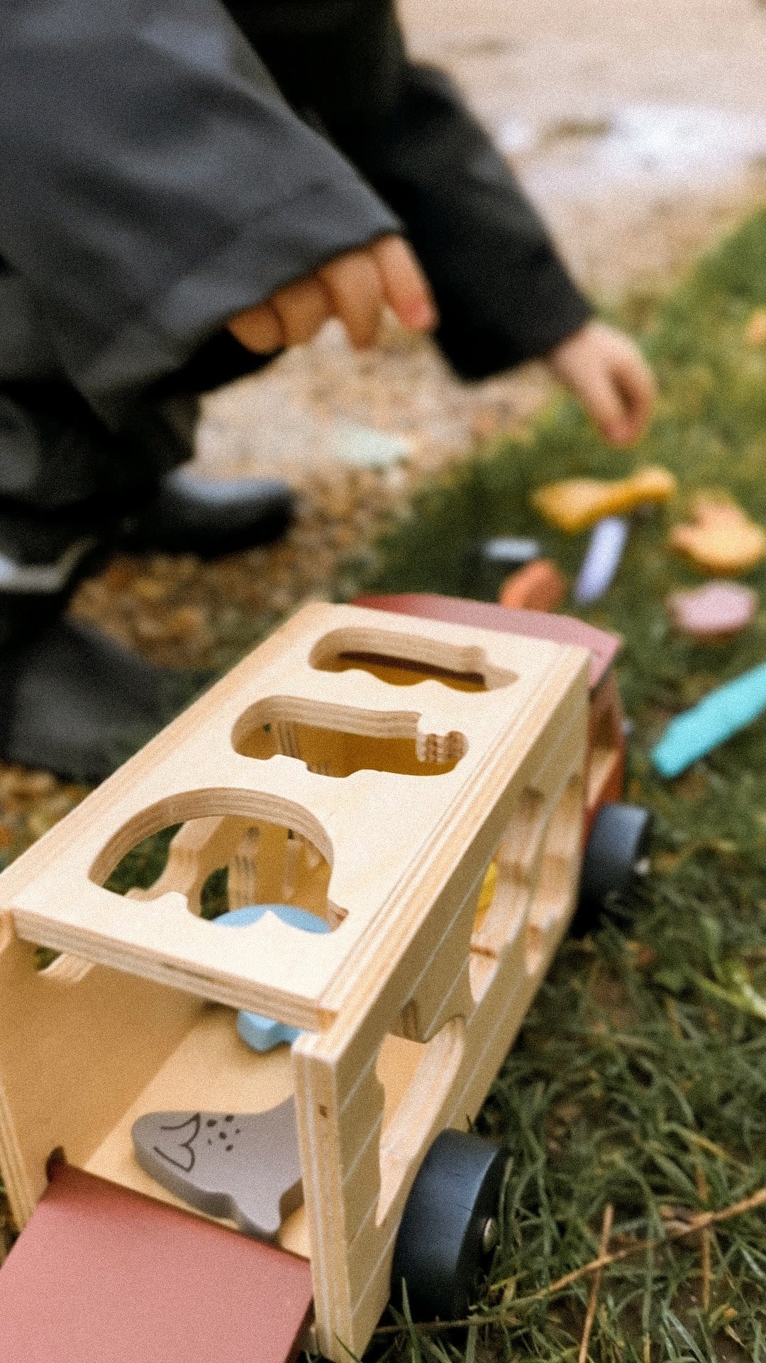 Shape Sorting Safari Truck - REGN