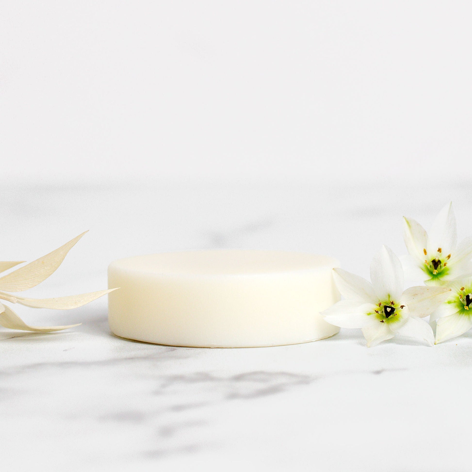 Shine On Conditioner Bar - Vegan - REGN