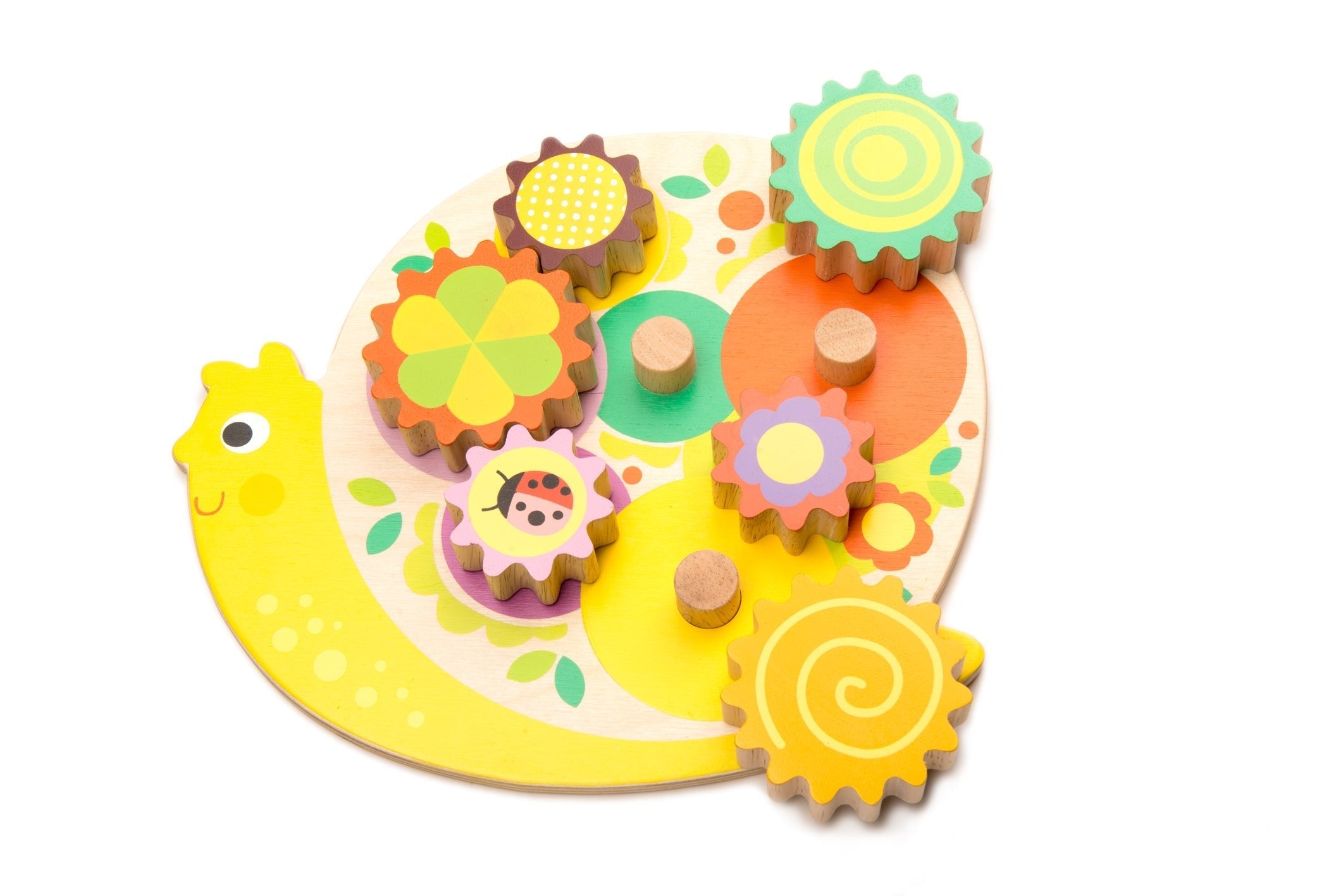 Snail Whirls - REGN