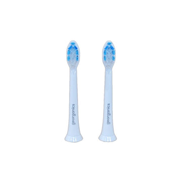 Sonic Toothbrush Heads – Medium Bristles - REGN
