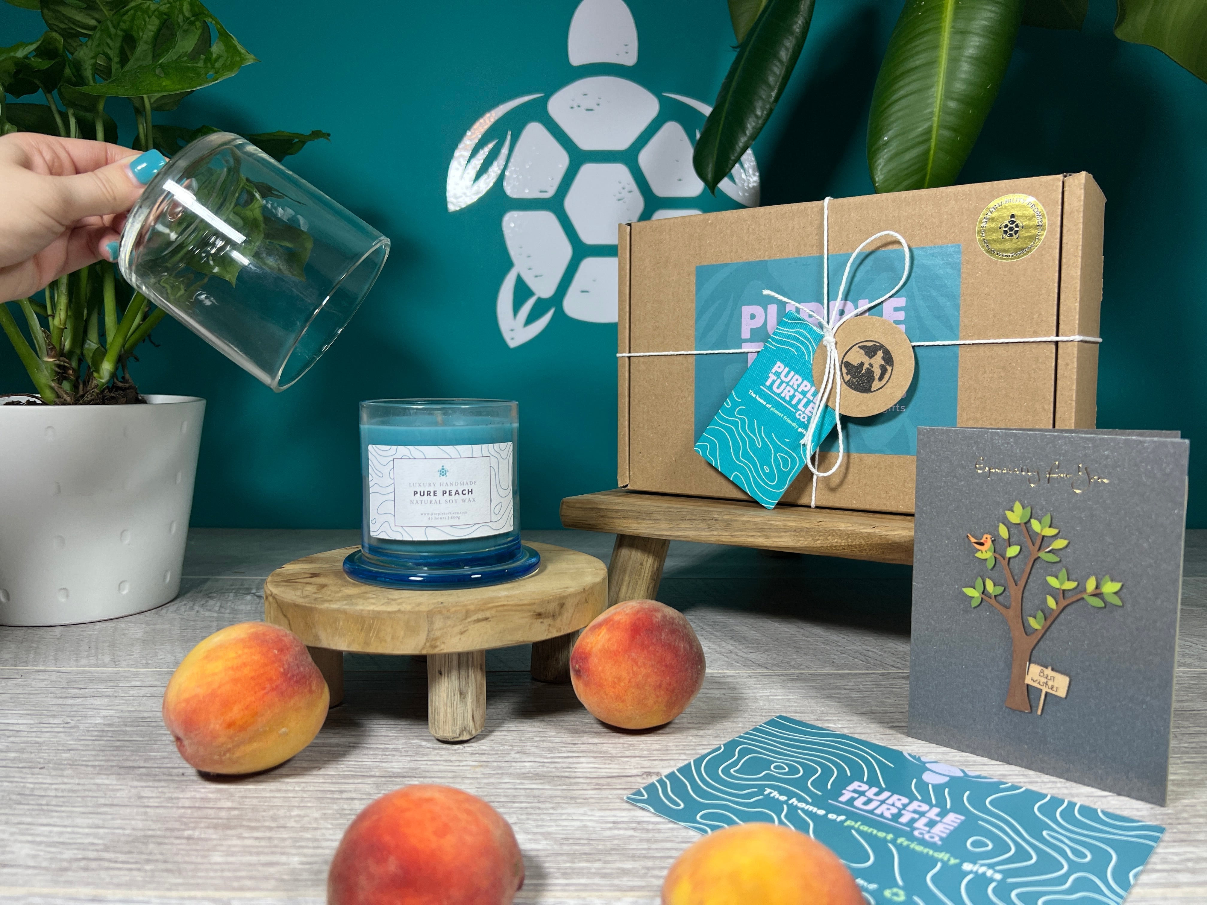 Soy Wax Peach Candle Gift Set - REGN