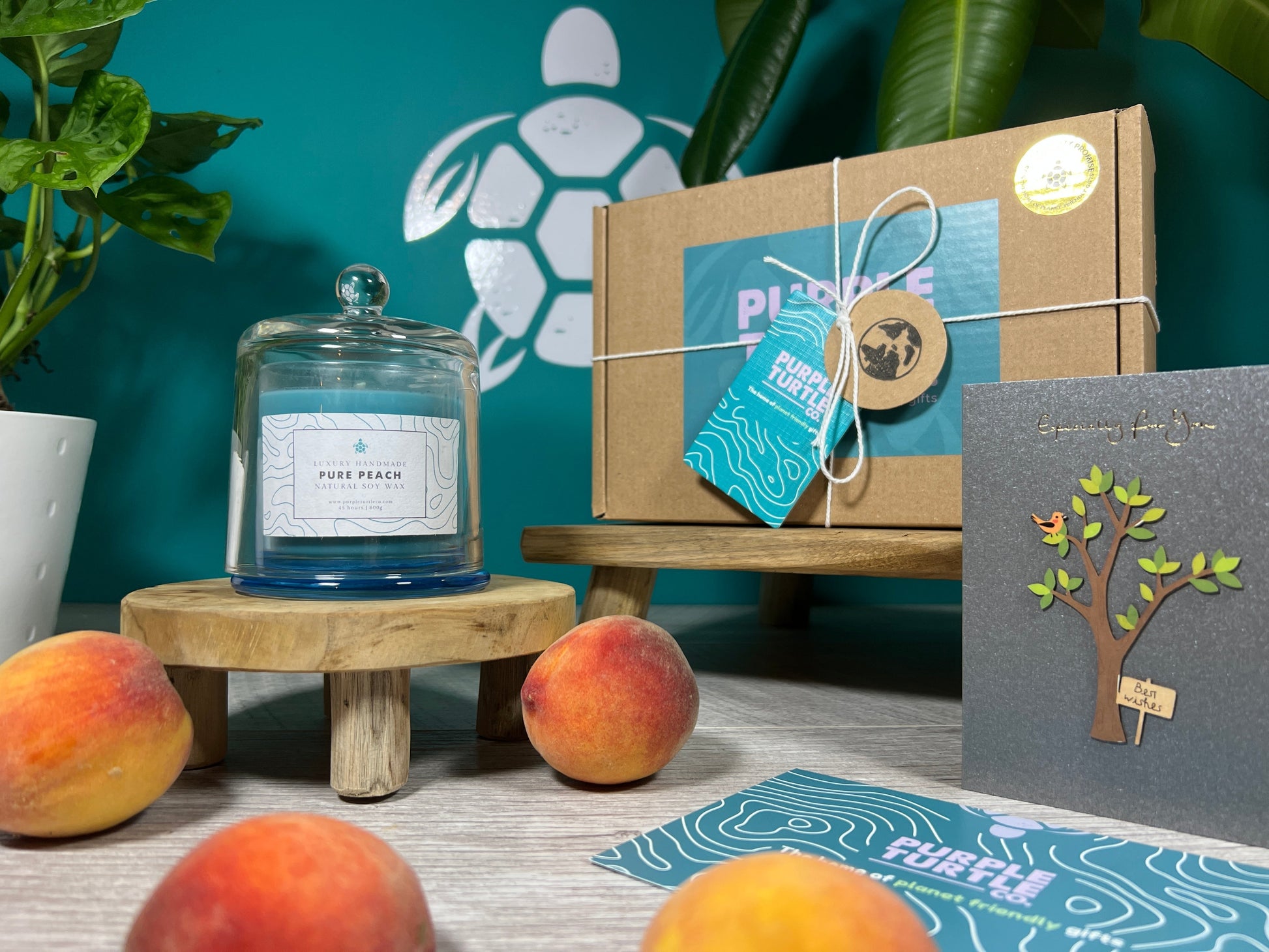 Soy Wax Peach Candle Gift Set - REGN