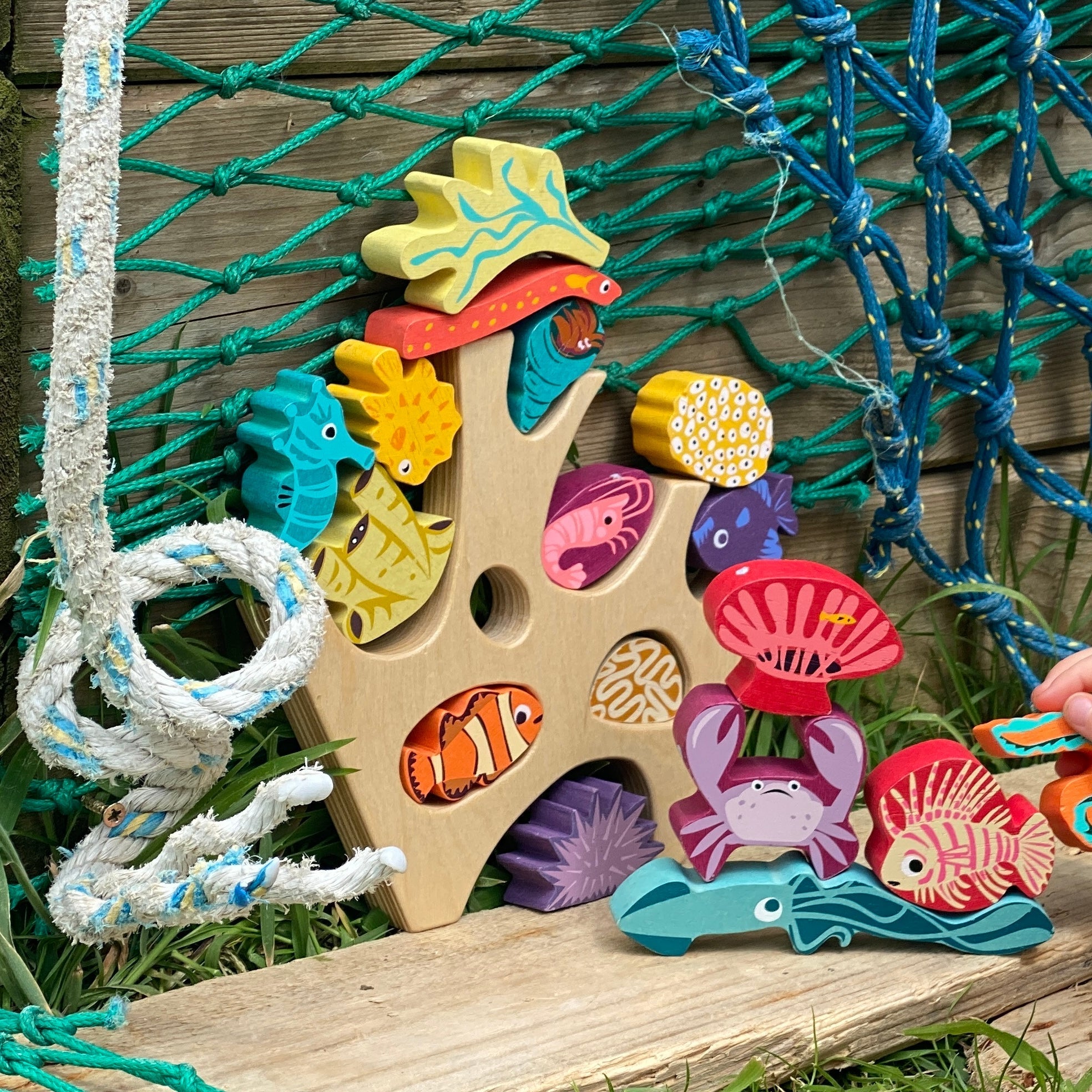 Stacking Coral Reef - REGN