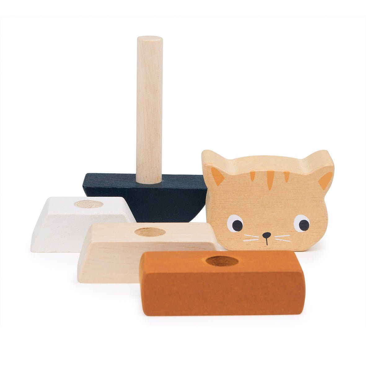 Stacking Kitten - REGN