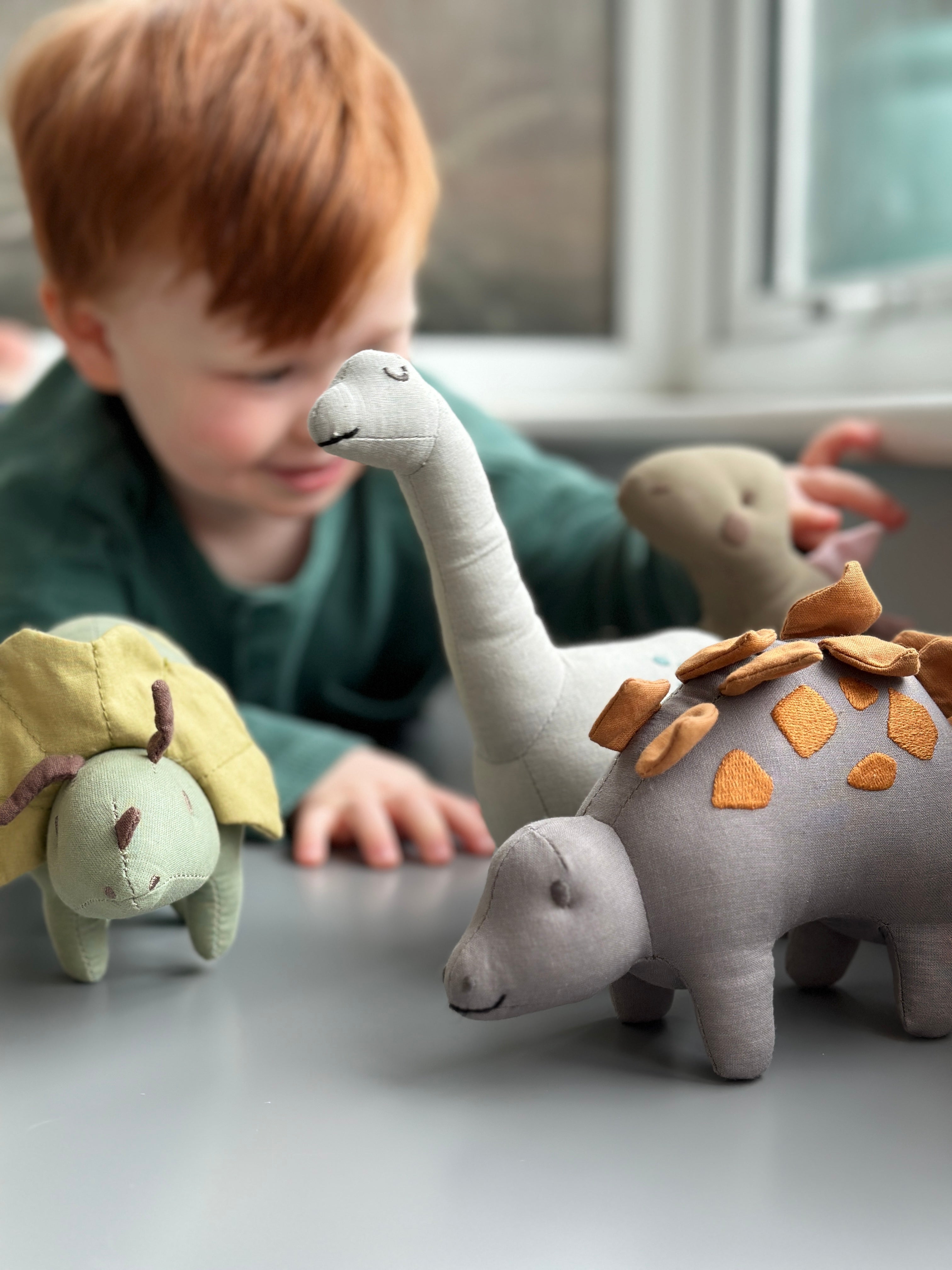 Steggy Linen Dinosaur Toy - REGN