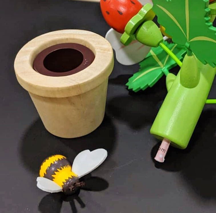 Strawberry Flower Pot - REGN