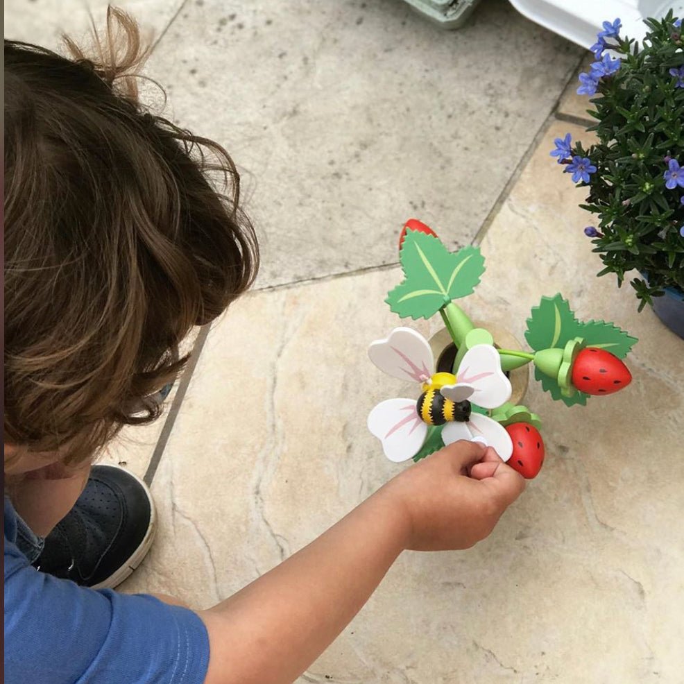 Strawberry Flower Pot - REGN