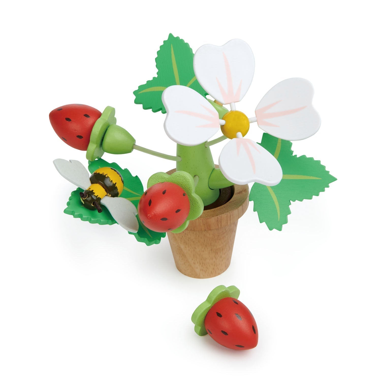 Strawberry Flower Pot - REGN