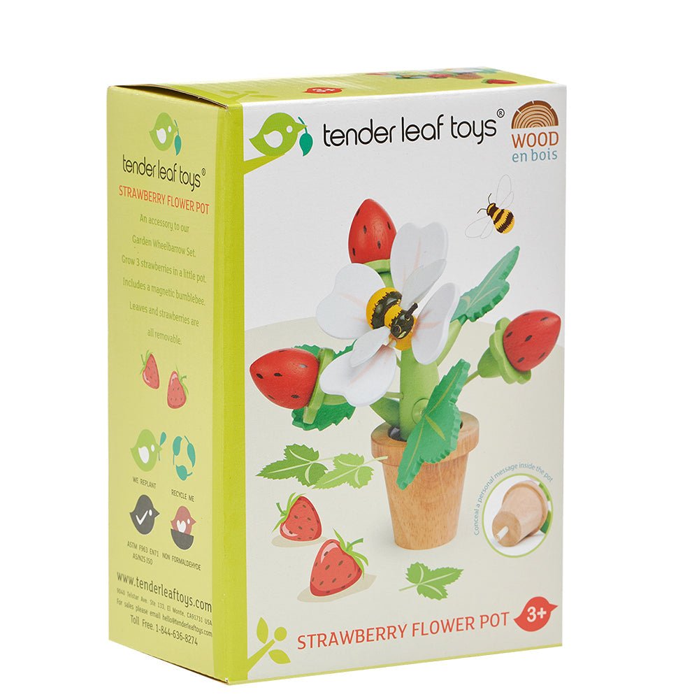 Strawberry Flower Pot - REGN