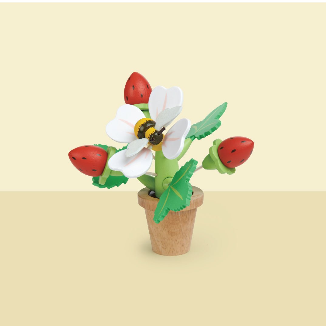 Strawberry Flower Pot - REGN