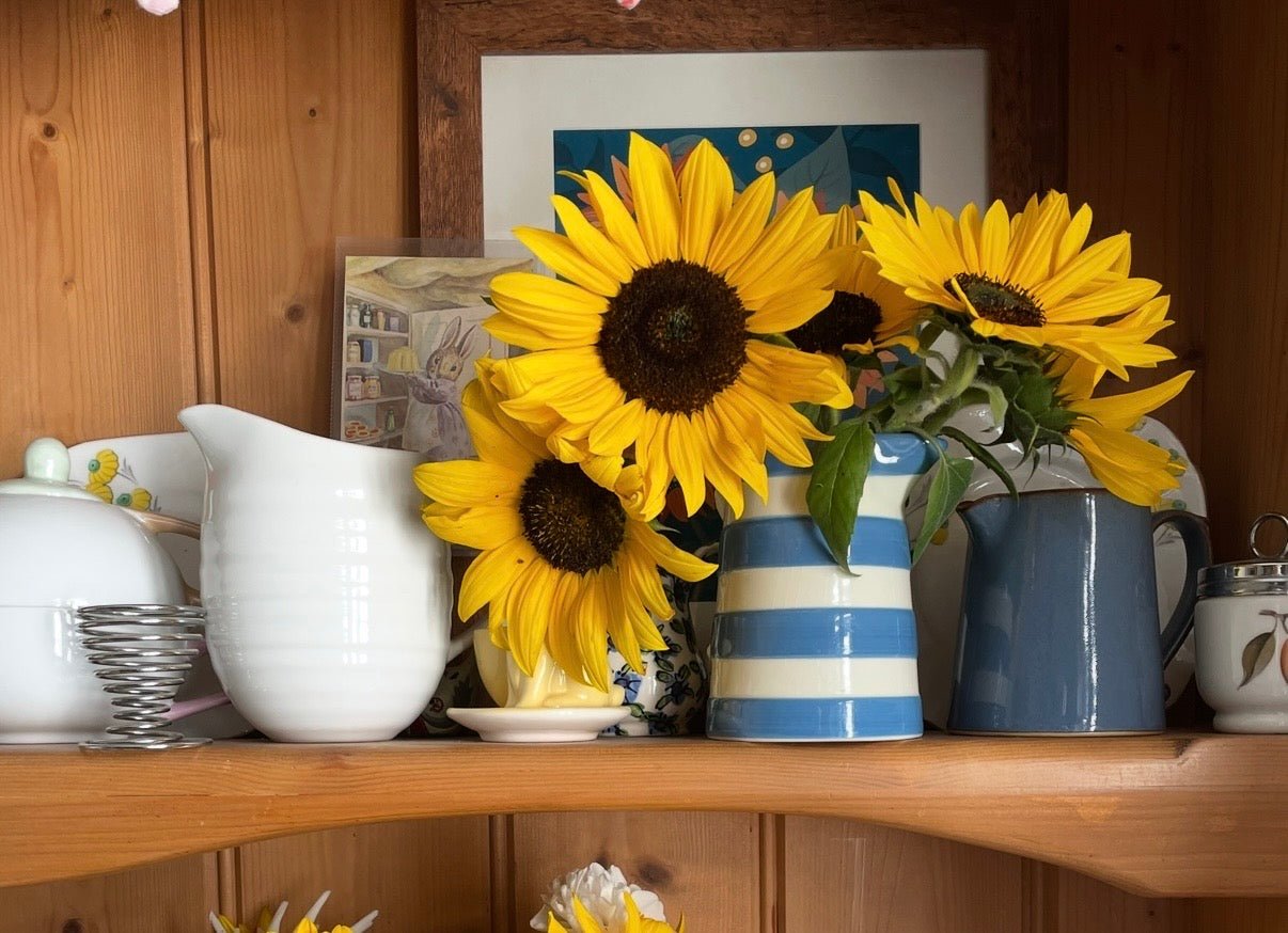 Sunflower Waooh! - REGN