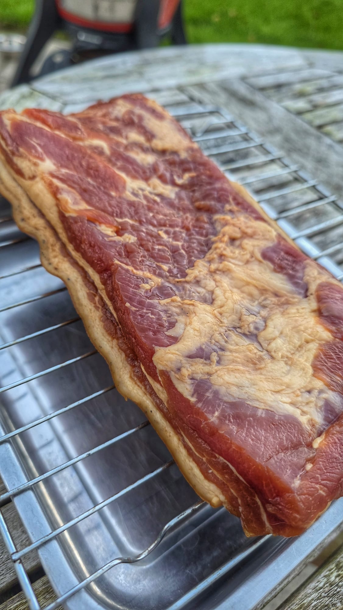 Sweet Bacon Curing Kit for Artisan Bacon Making - REGN