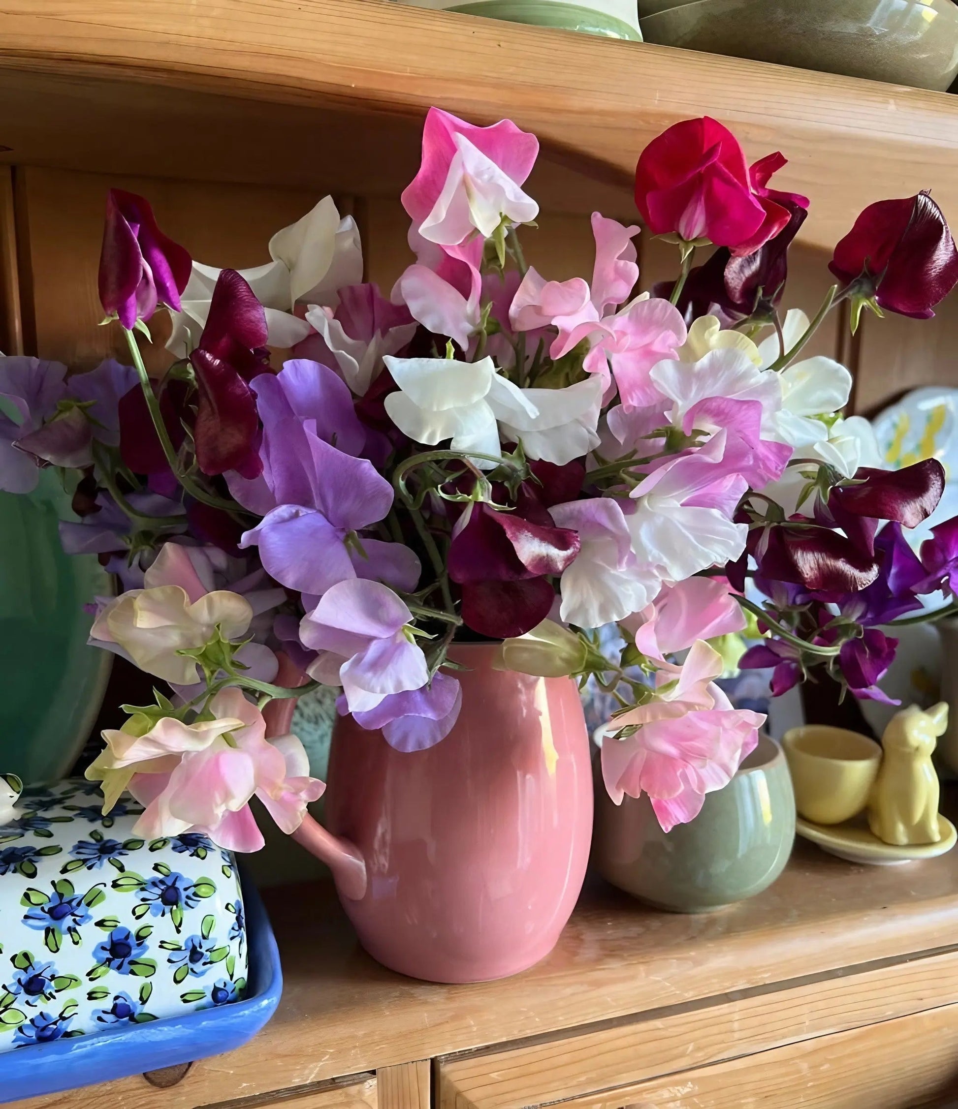 Sweet Pea Bishy Barnabee Mix - REGN