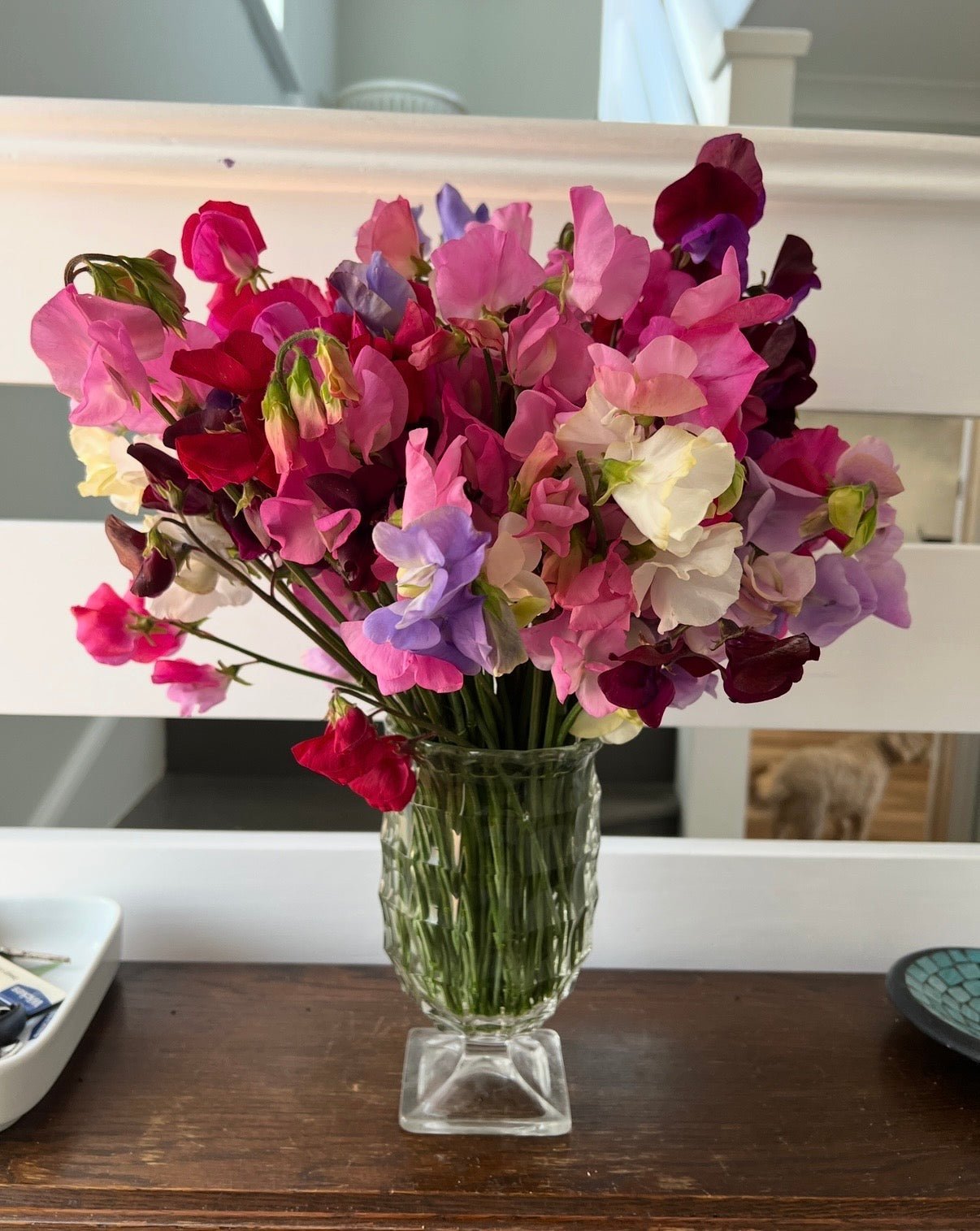 Sweet Pea Bishy Barnabee Mix - REGN