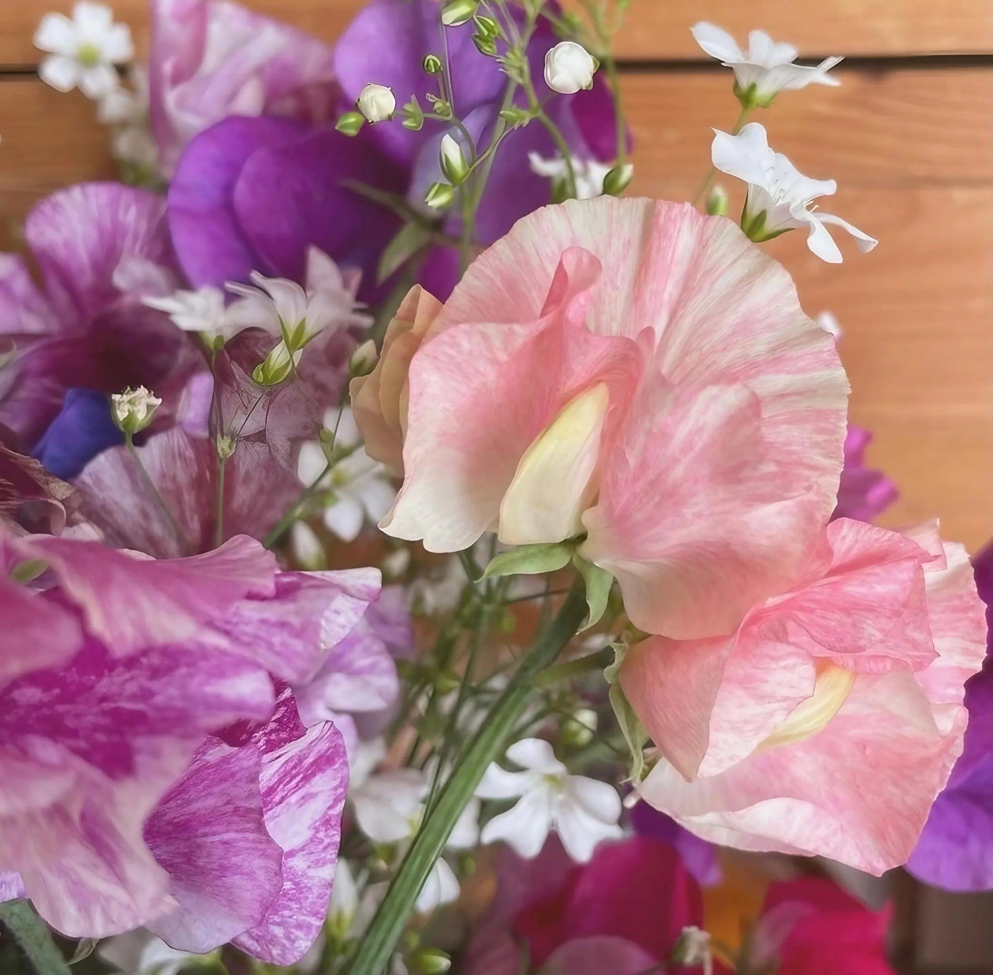 Sweet Pea Heaven Scent - REGN