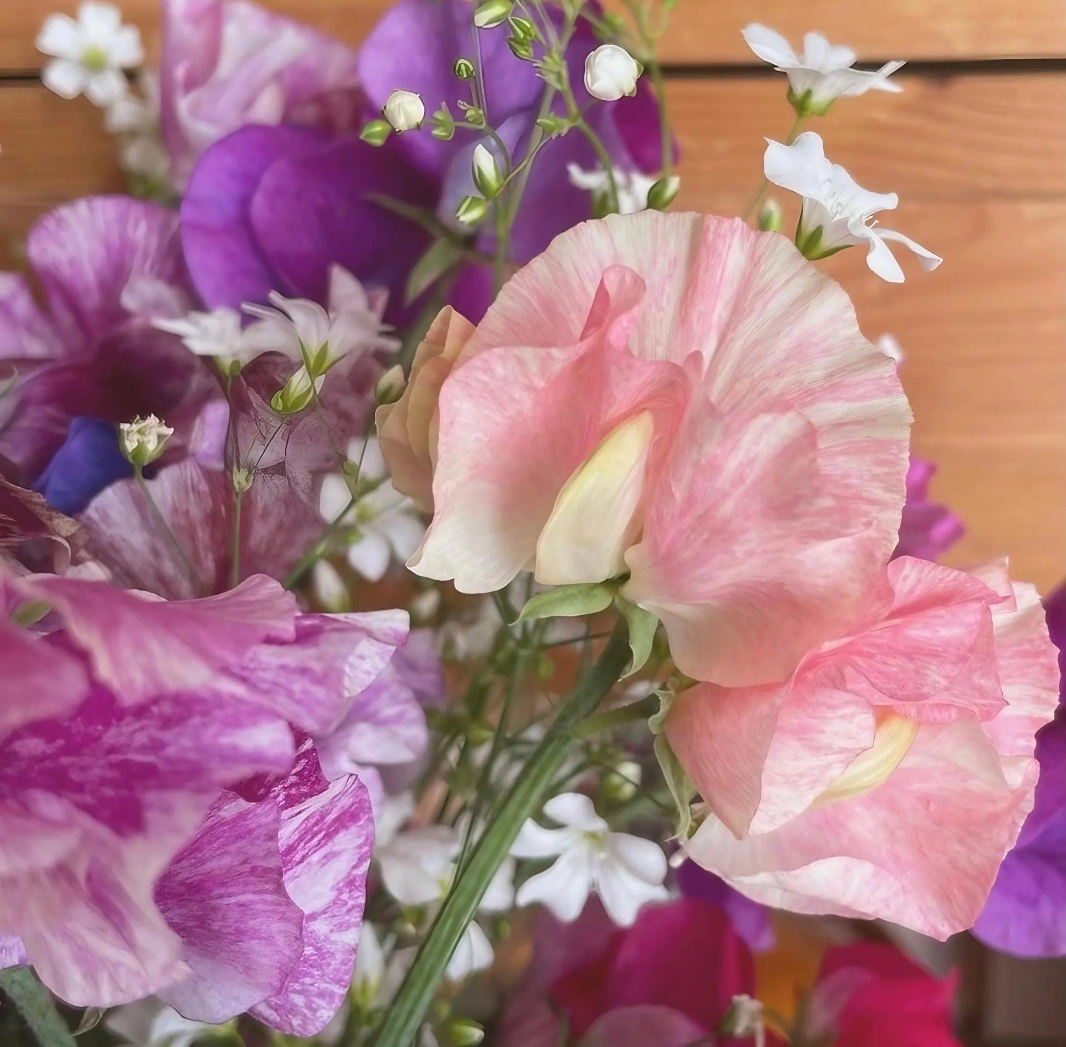 Sweet Pea Heaven Scent - REGN