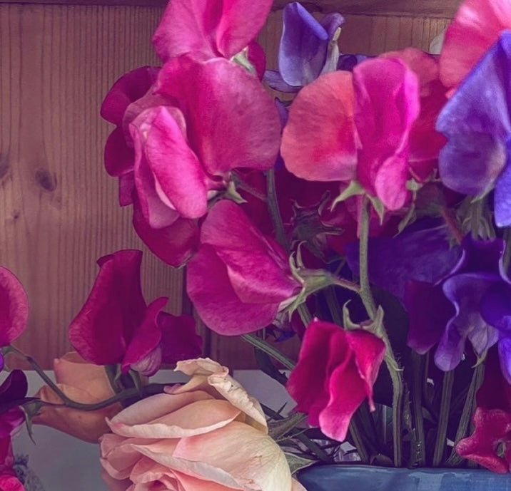Sweet Pea Parfume Millennium - REGN