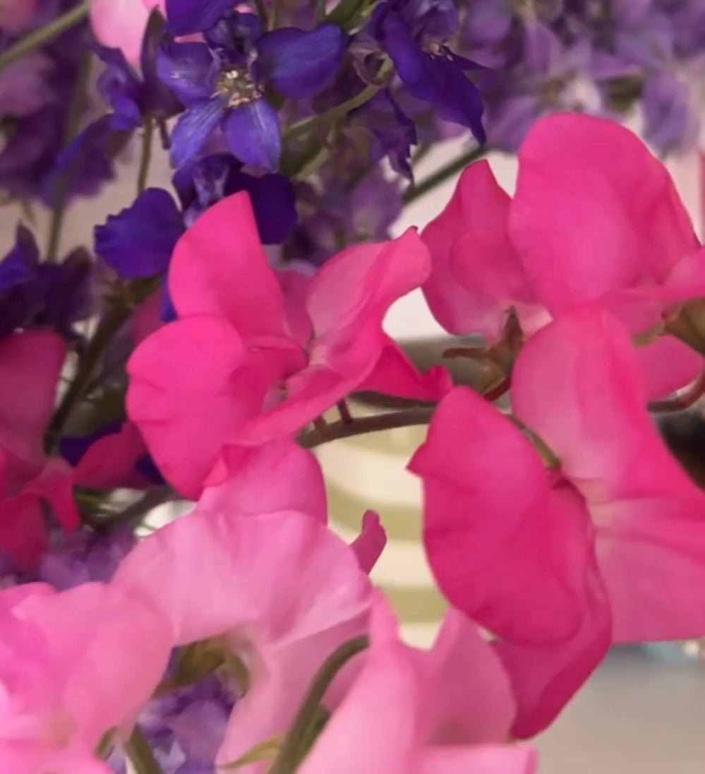 Sweet Pea Parfume Millennium - REGN