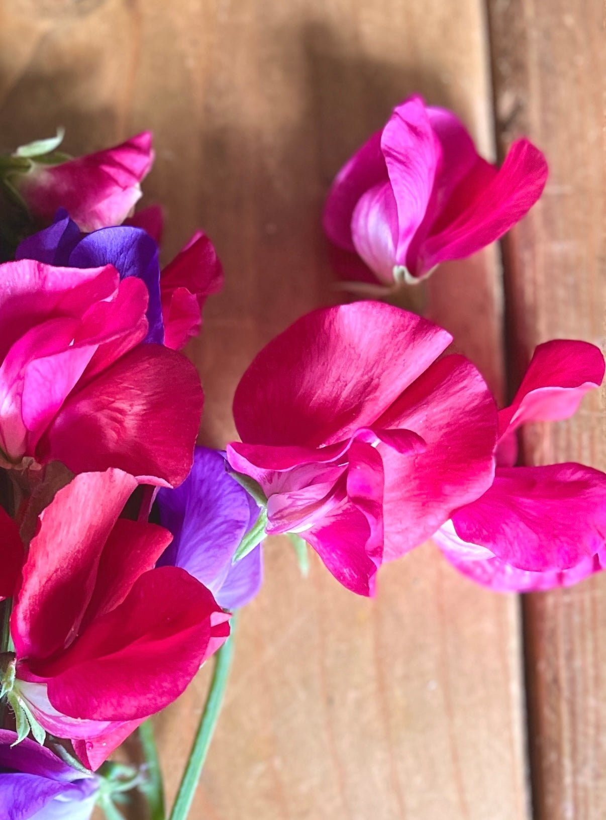 Sweet Pea Parfume Millennium - REGN