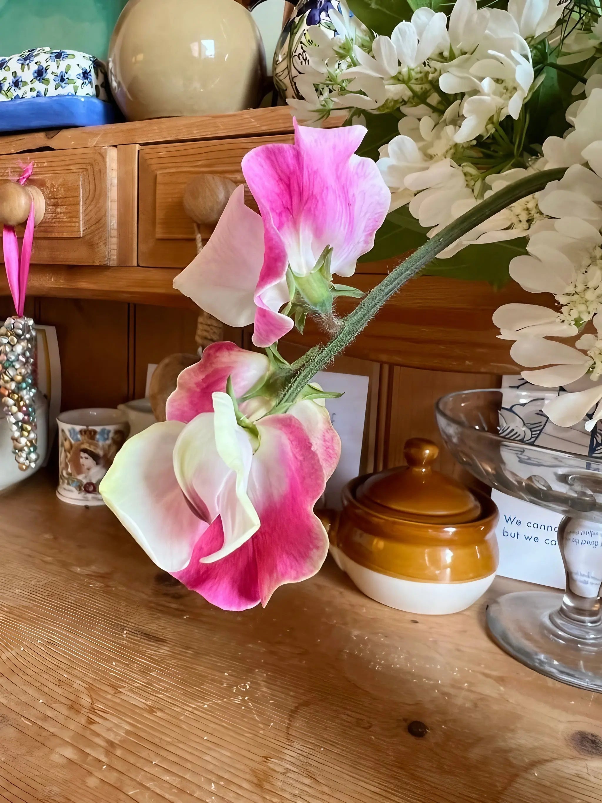 Sweet Pea Parfume Promise - REGN