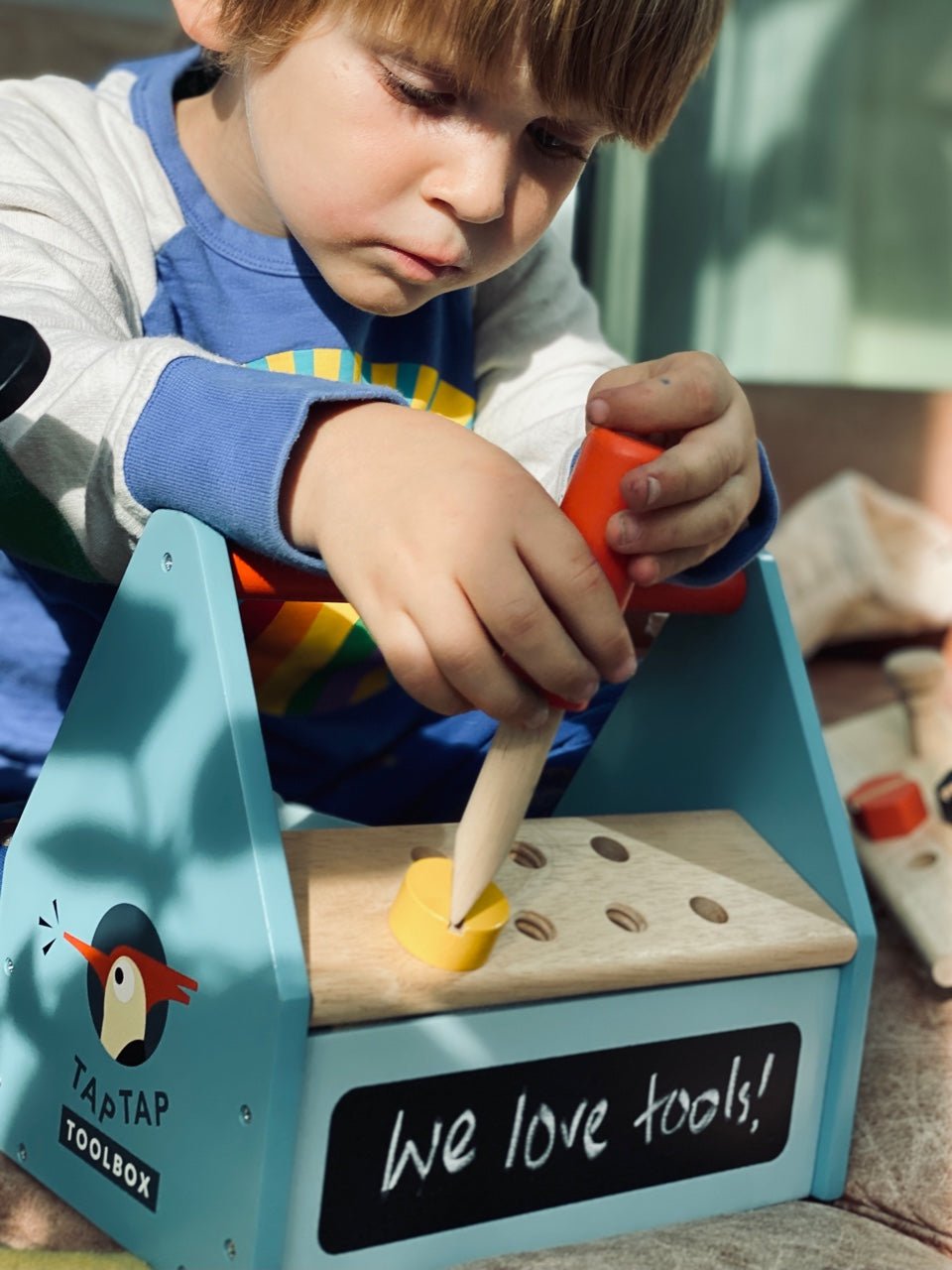 Tap Tap Tool Box - REGN