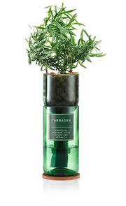 Tarragon - REGN