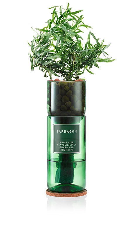 Tarragon - REGN