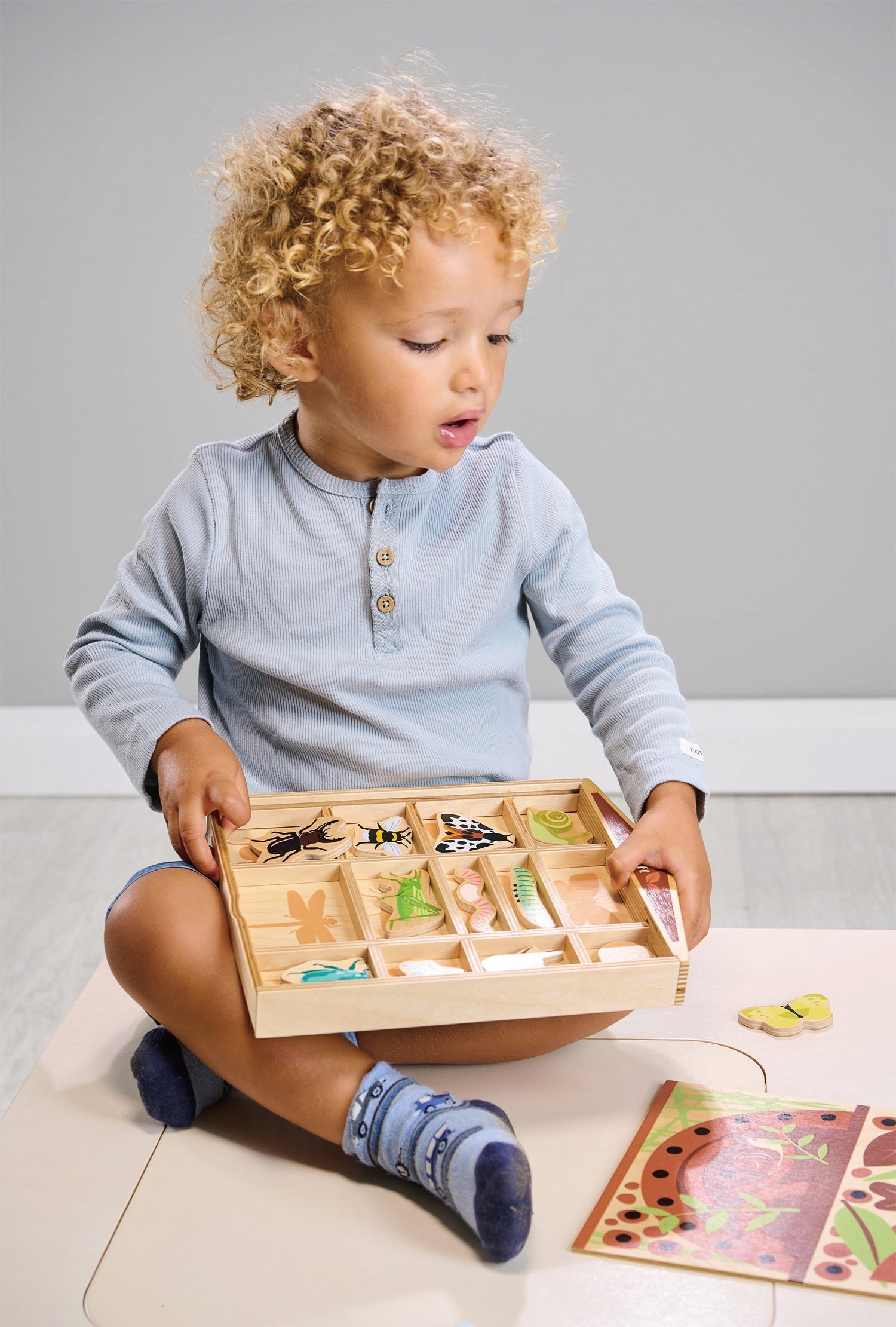 The Bug Hotel - REGN