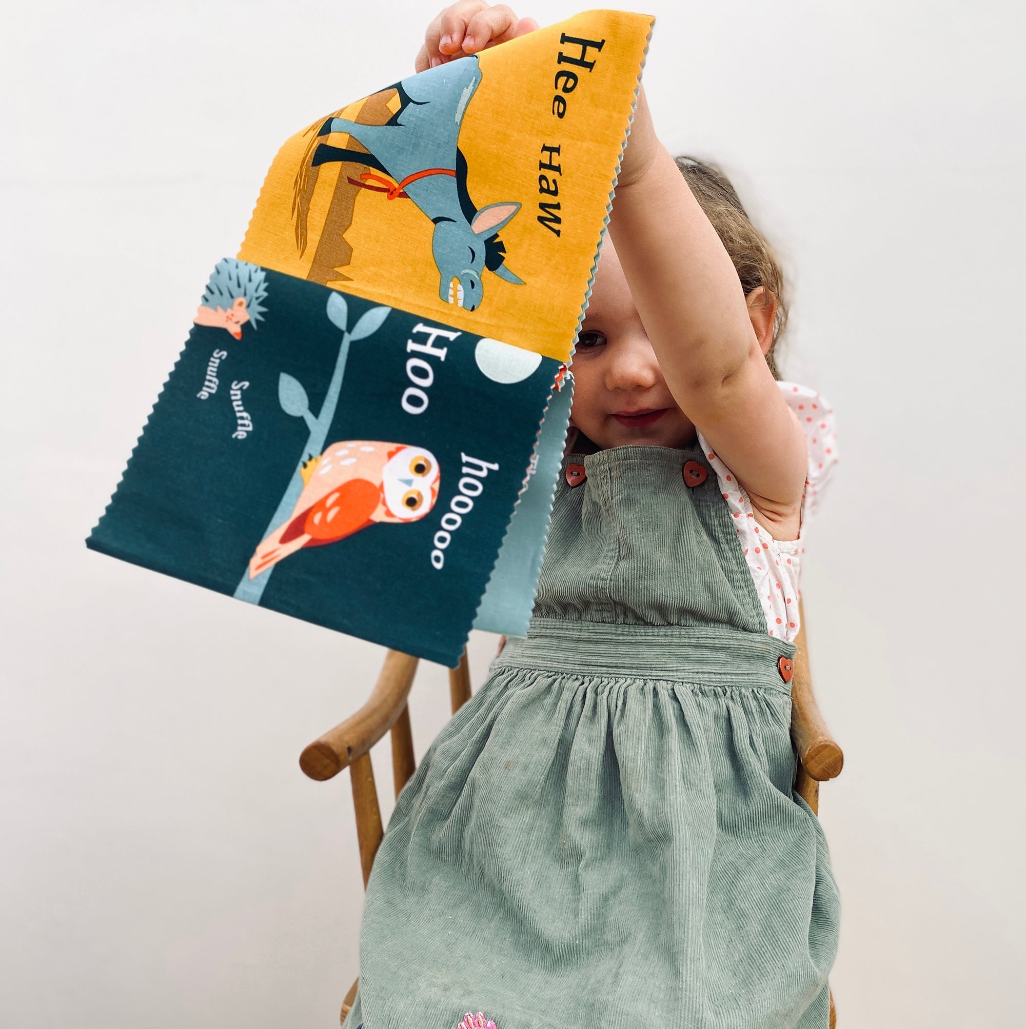 The Noisy Farmyard Rag Book - REGN