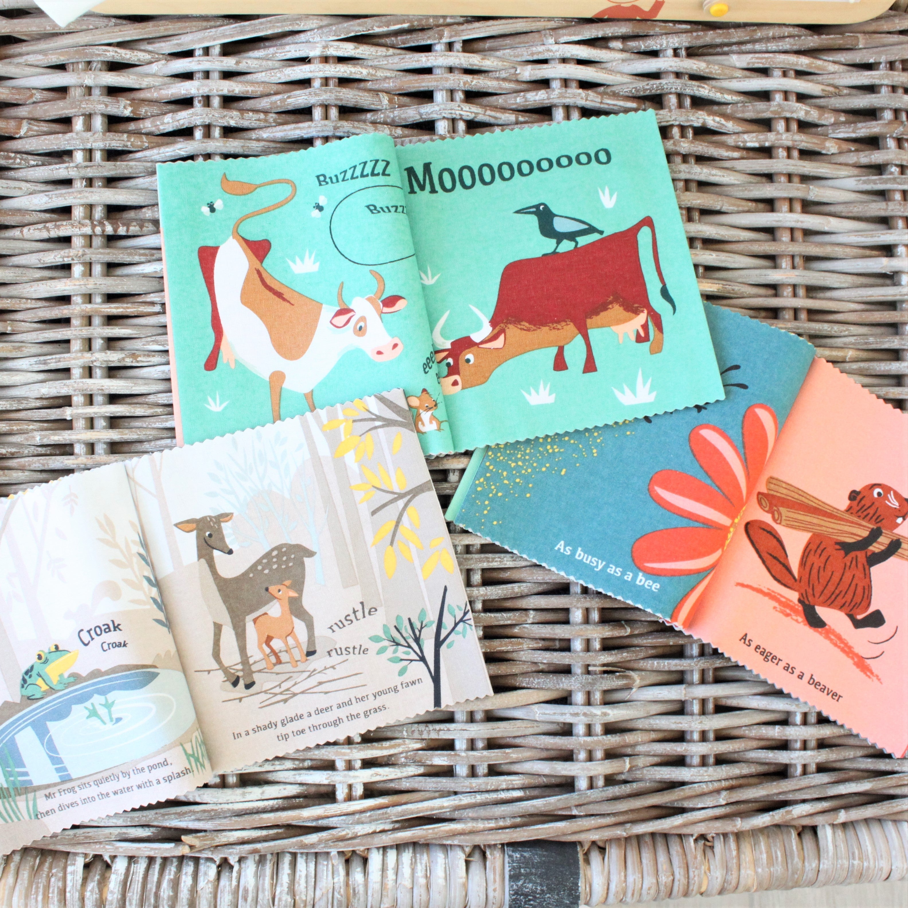 The Noisy Farmyard Rag Book - REGN