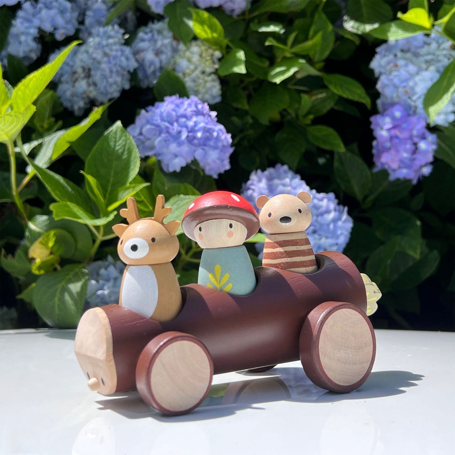 Timber Taxi - REGN