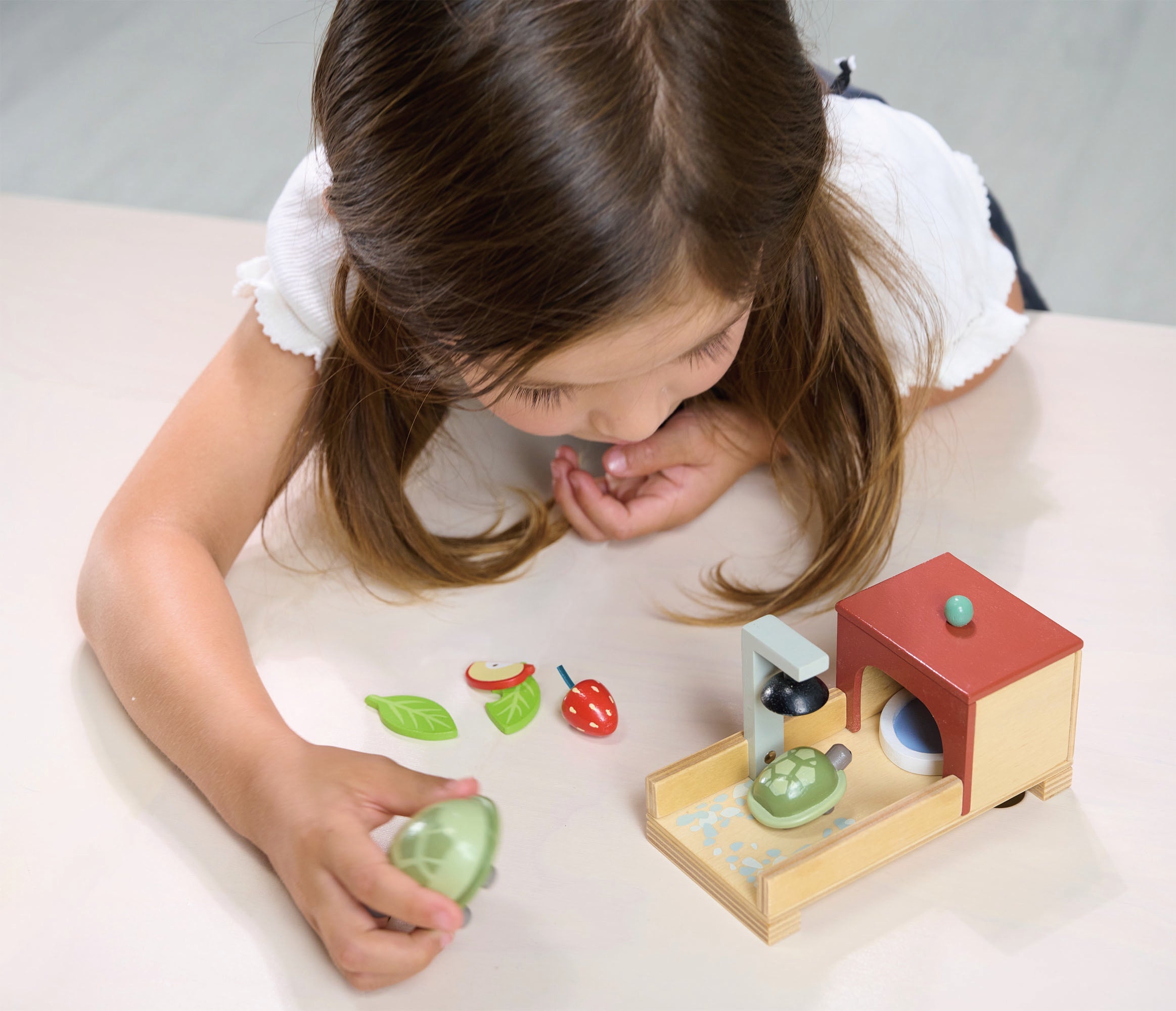 Tortoise Pet Set - REGN