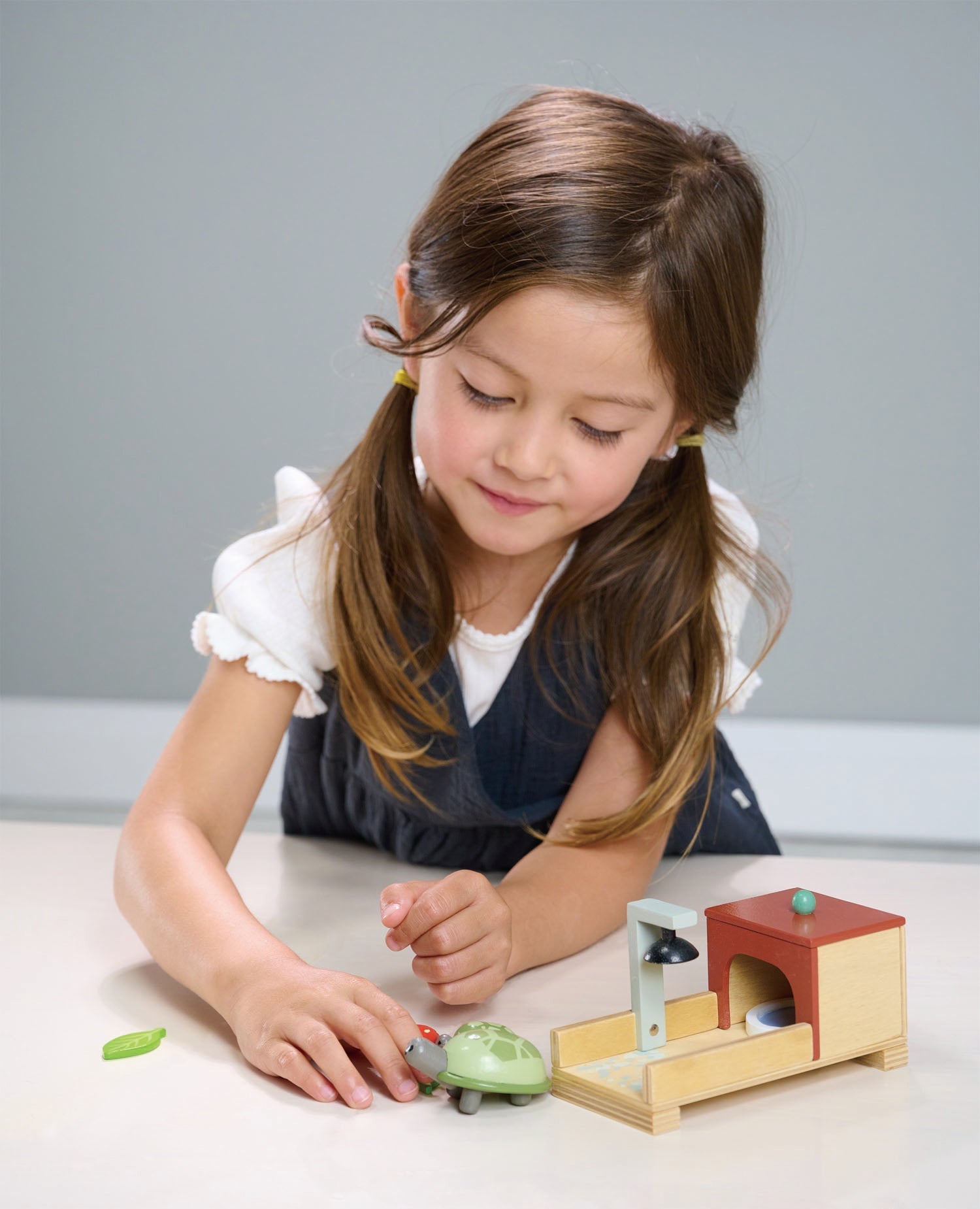 Tortoise Pet Set - REGN