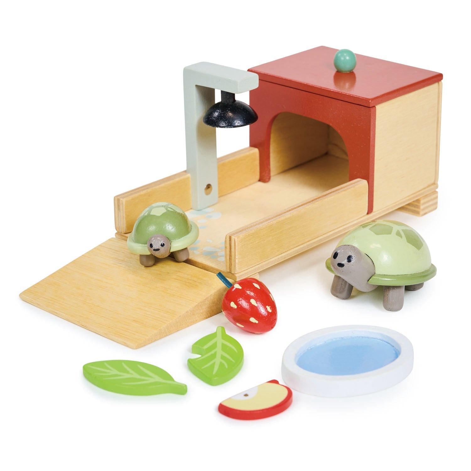 Tortoise Pet Set - REGN