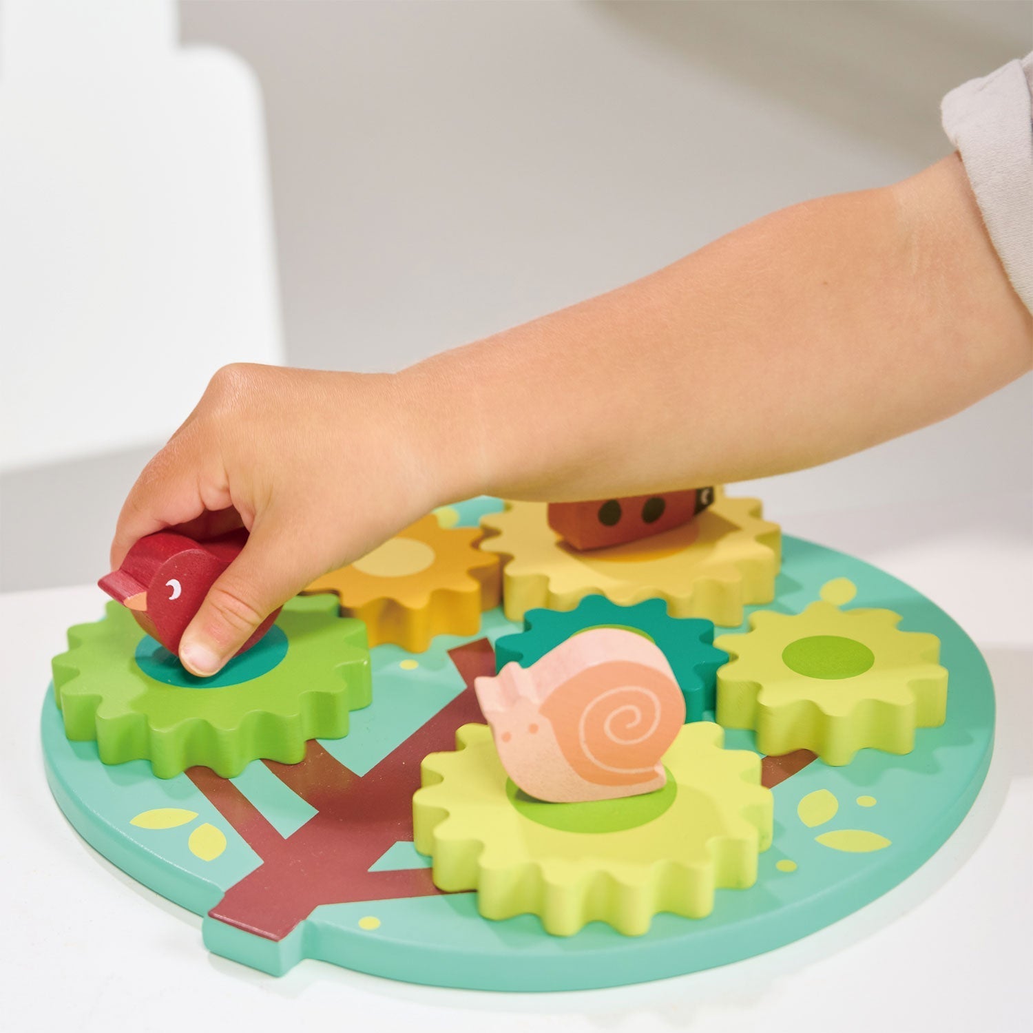 Tree Gears and Cogs - REGN