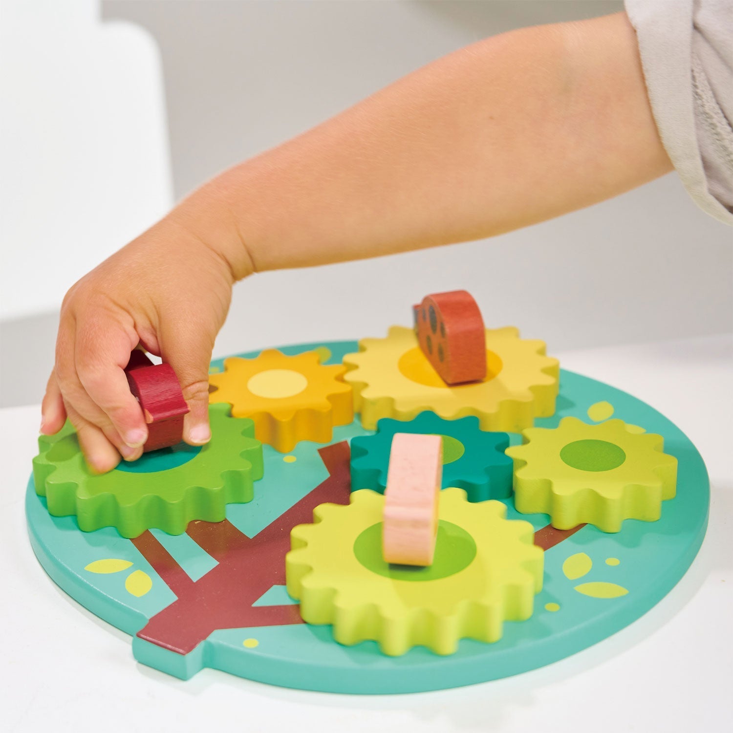 Tree Gears and Cogs - REGN