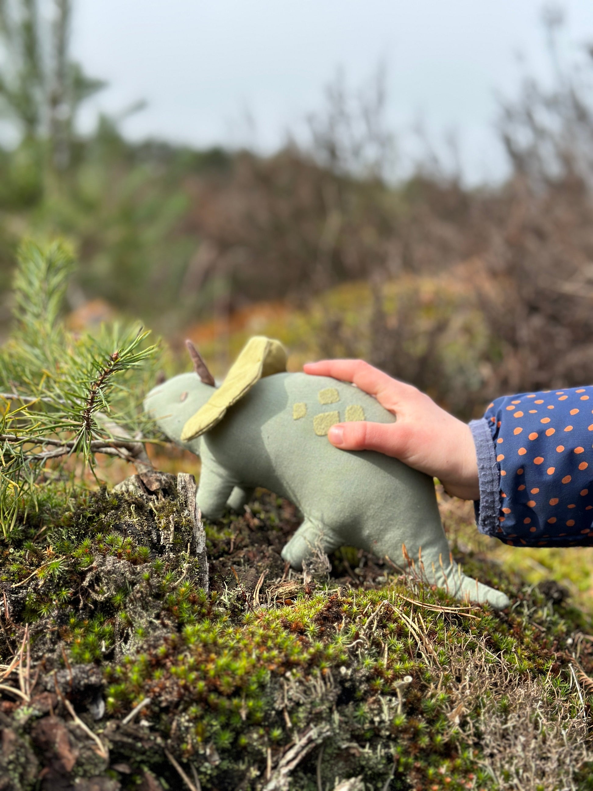 Trike Linen Dinosaur Toy - REGN