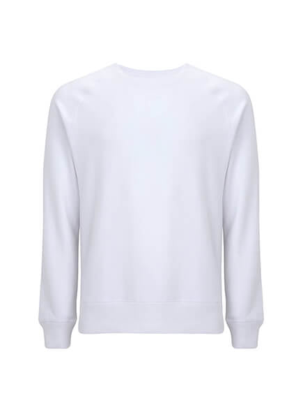 Unisex Raglan Recycled Sweatshirt - REGN