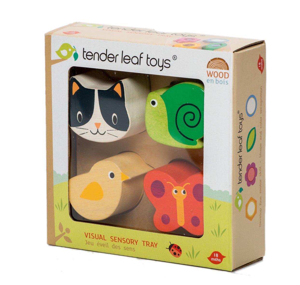 Visual Sensory Tray - REGN