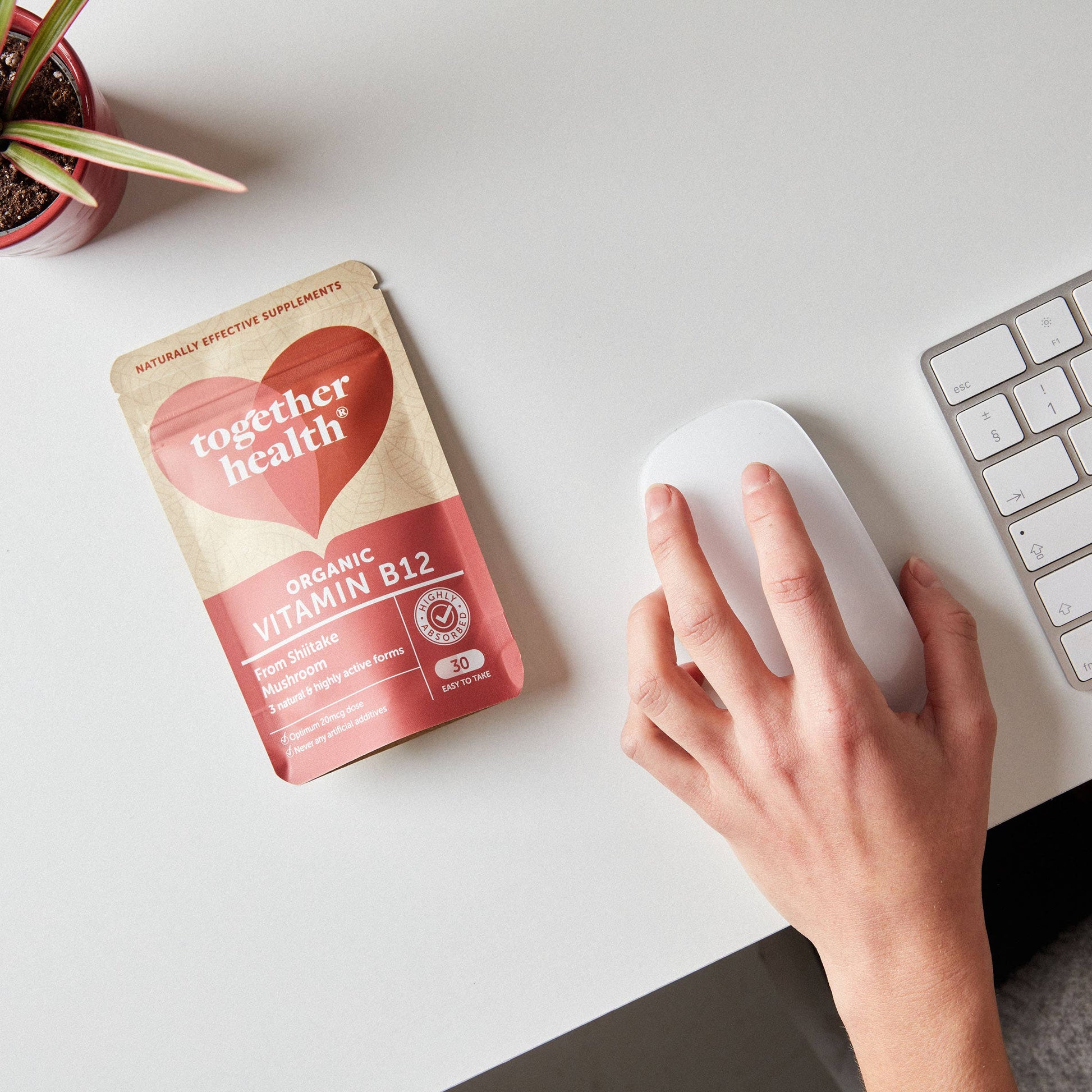 Vitamin B12 – Organic – 30 Capsules - REGN