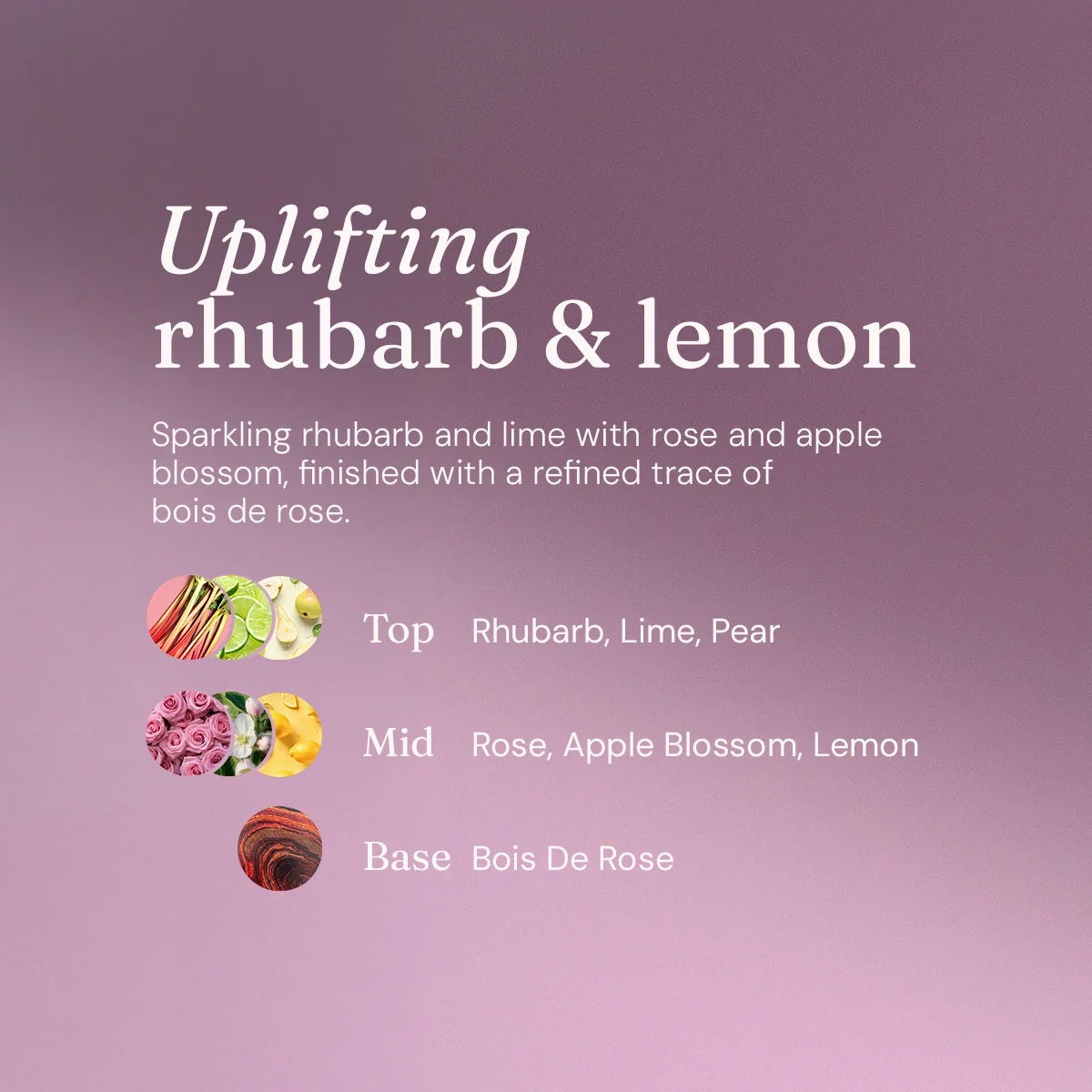 Washing Up Liquid 5L Duo Bundle – Apple & Rhubarb + Lemon