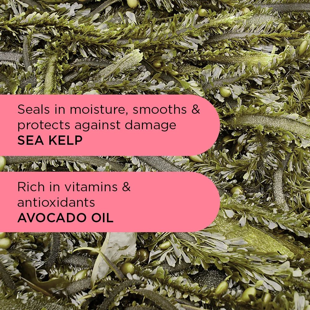 Wave Hello Curl Defining Shampoo - REGN