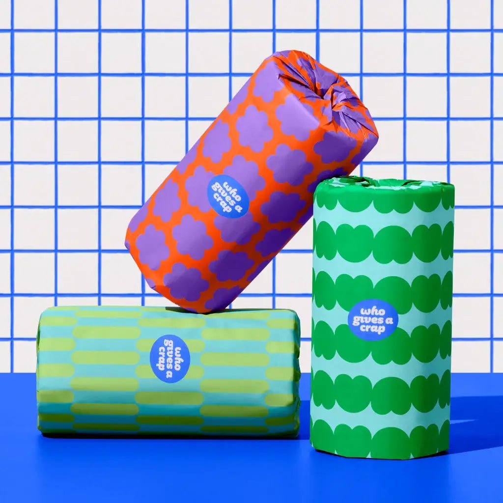 Who Gives A Crap Recycled Kitchen Roll | 100% Recycled Paper | Extra Long 150 - Sheet Roll - REGN