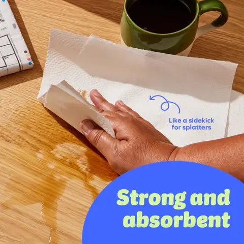 Who Gives A Crap Recycled Kitchen Roll | 100% Recycled Paper | Extra Long 150 - Sheet Roll - REGN