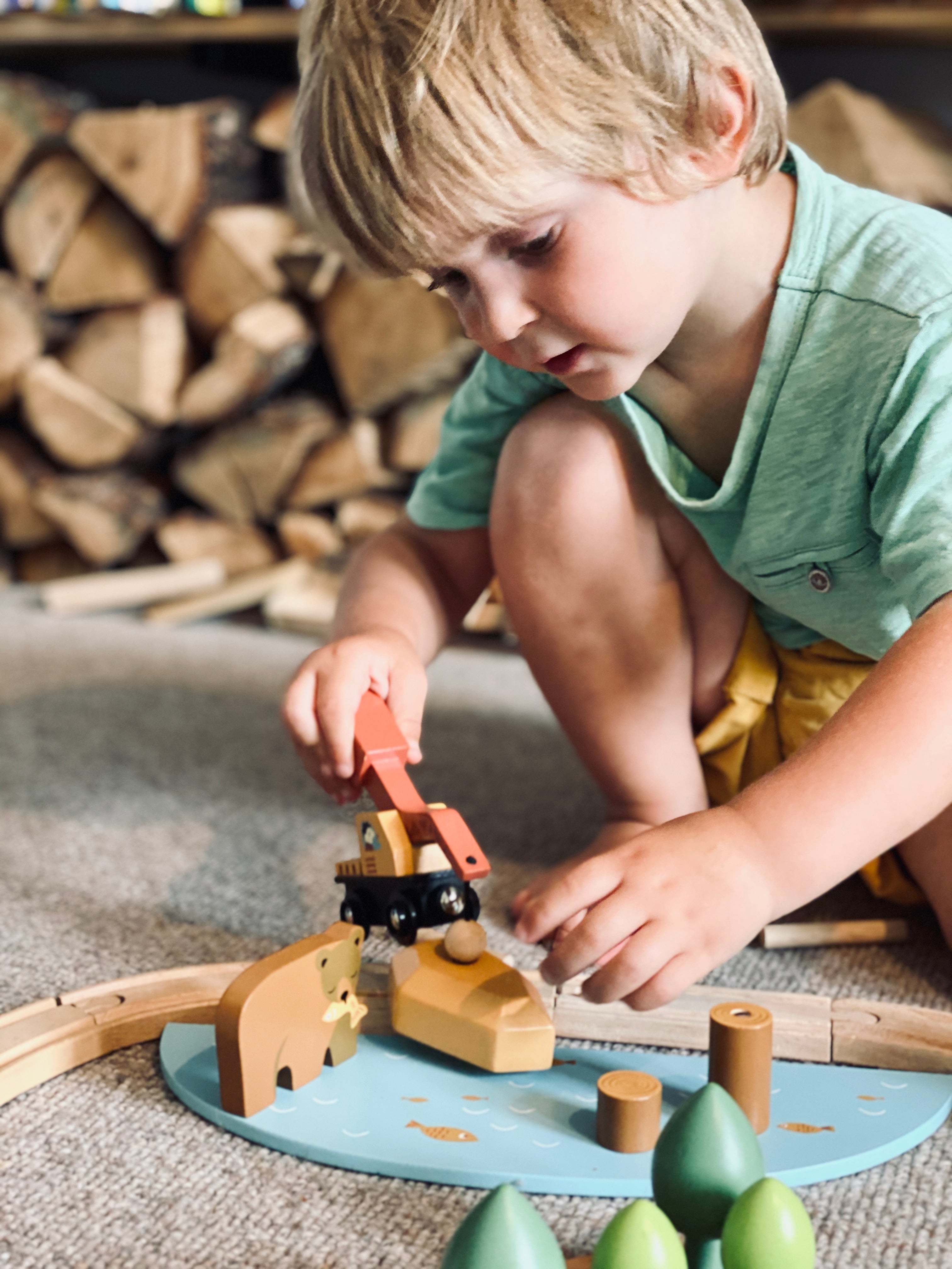 Wild Pines Train Set - REGN