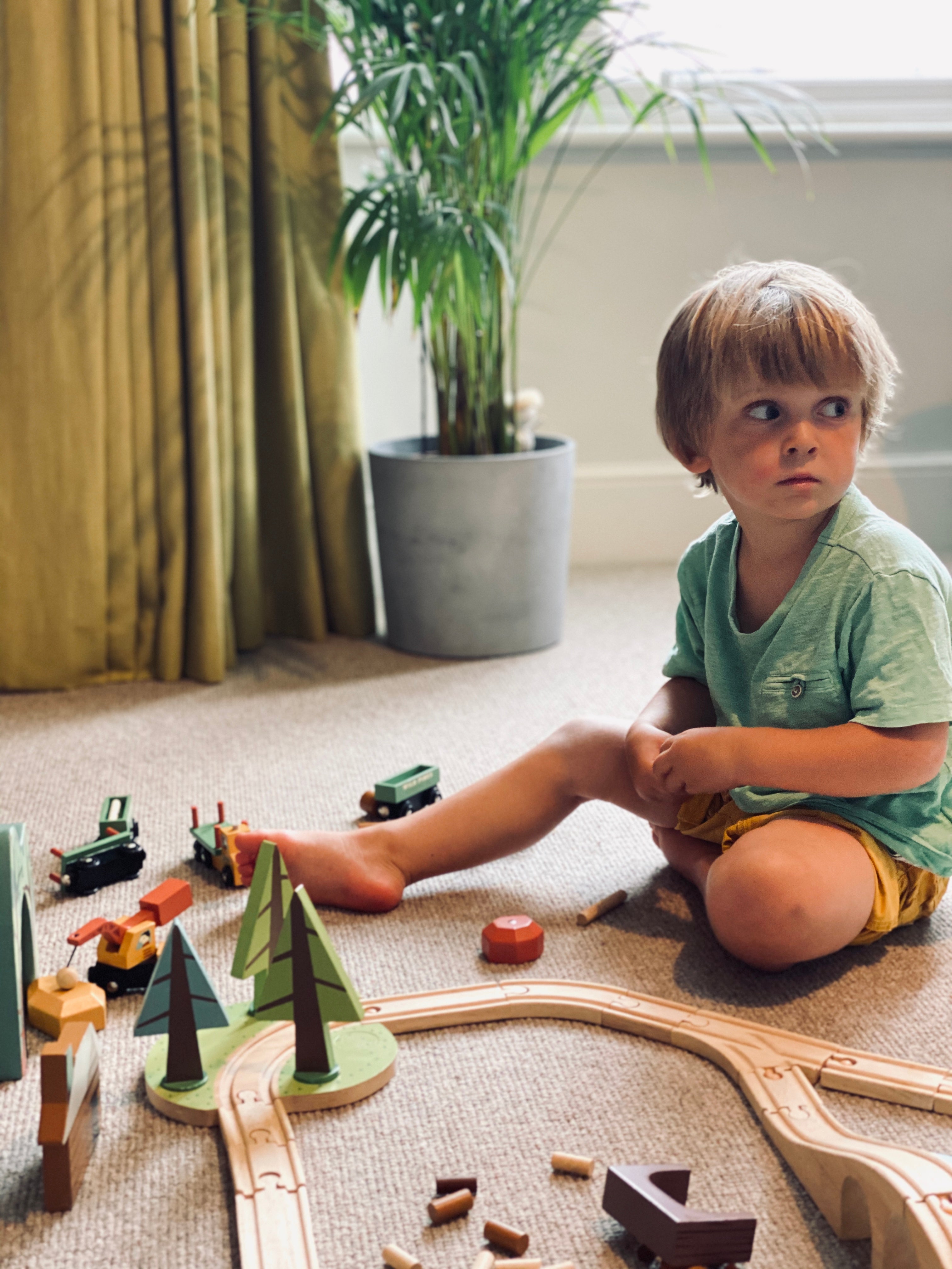 Wild Pines Train Set - REGN