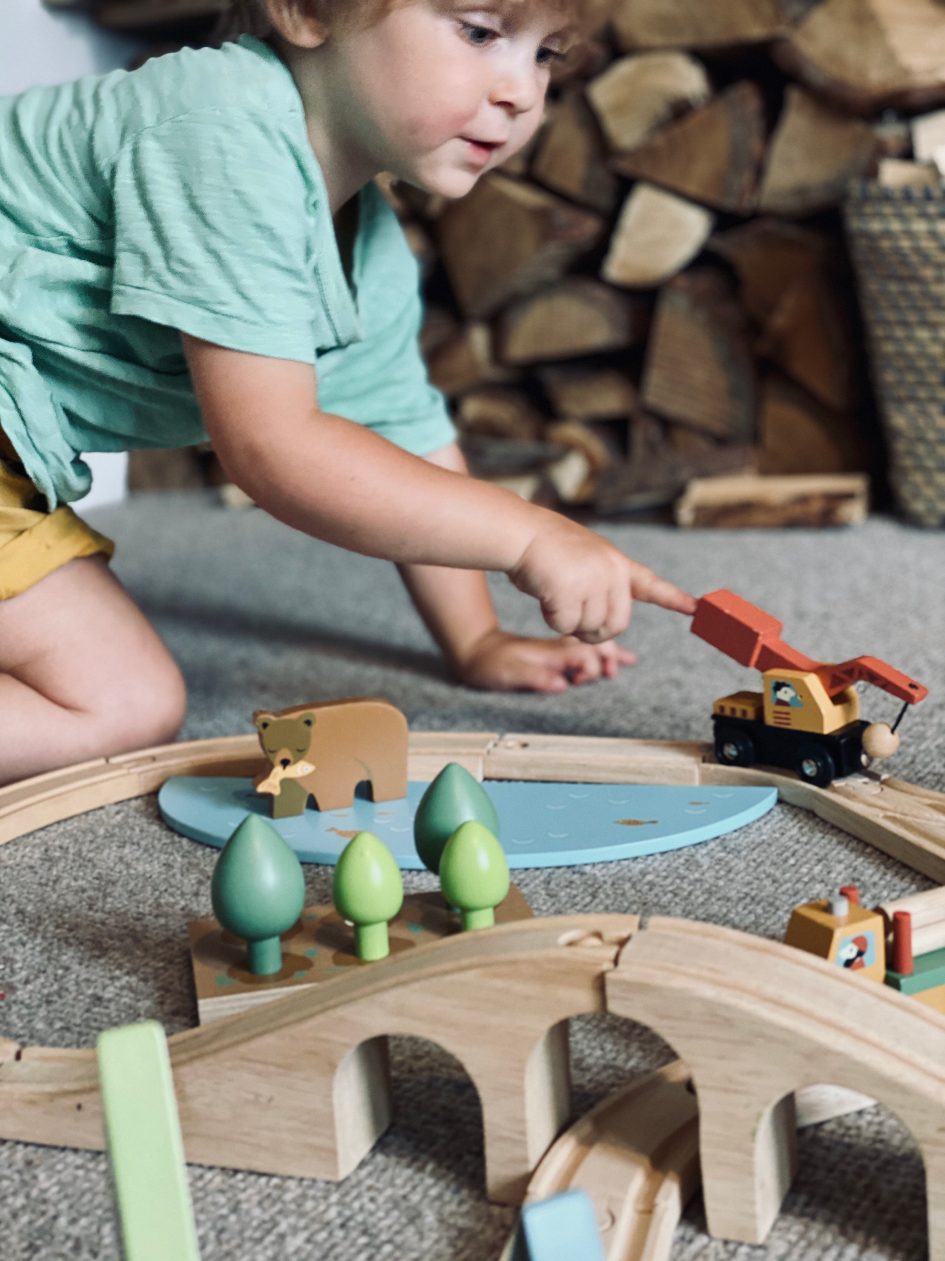 Wild Pines Train Set - REGN